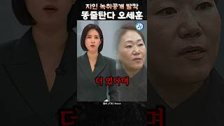 똥줄탄다 오세훈 지인녹취 공개 발칵강혜경 3300만원 더있다 [upl. by Martinez]