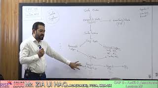 CAF 8  Lecture 55 [upl. by Niassuh]