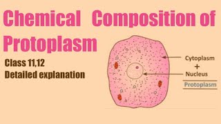 Chemical composition of protoplasm cytoplasm  Bioelements  Easy and detailed lector  class 1112 [upl. by Aer72]