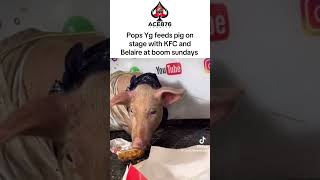 Pops Yg Feeds Pig On Stage With KFC [upl. by Ramas]