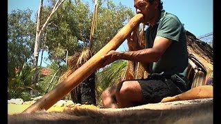 Perth  les aborigènes oubliés de lAustralie [upl. by Kessel30]