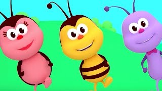 The Hokey Pokey Dance  Songs For Kids amp Nursery Rhymes  Boogie Bugs [upl. by Ilime684]