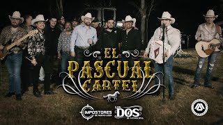 Impostores De Nuevo Leon Los Dos De Tamaulipas  El Pascual Cartel Video Lyric [upl. by Dwane785]