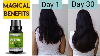 How Tea Tree Oil Can Promote Rapid Hair Growth [upl. by Seaman]