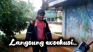 Sarang emprit dibelakang rumah [upl. by Procter]