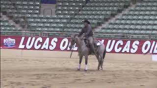 Open Preliminary Highlights  2019 Reno Snaffle Bit Futurity [upl. by Yasdnyl]