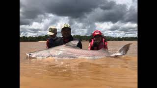 Pescaria de piraíba gigante na Pousada Águia 1 no Rio Araguaia [upl. by Odama]