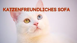 Katzenfreundliches Sofa 2024 [upl. by Morten504]