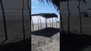 PlayasWalter garrobero en el cuco sanmiguel  playas [upl. by Arretahs]