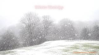 Winter Nostalgy  Romantic Piano Instrumental Love Song with beautiful snowfall scene [upl. by Assilaj343]