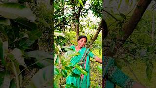 Dil huluk dubuk Nagpur trending reels viral videos nagpuri viral video [upl. by Aikemaj766]