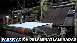 Laminados para muebles y suelos  Proceso de fabricación de láminas  Hojas laminadas con estilo [upl. by Mendel14]