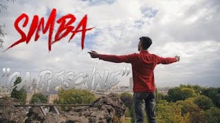 Simba  Ca Résonne  Clip Officiel [upl. by Rovaert248]