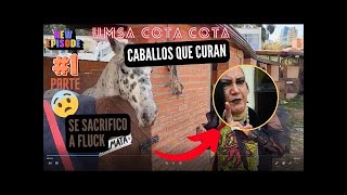 RADIODOCUMENTAL UMSA COTA COTA PARTE 1🔥🎙️MARIA GALINDO🔥🎙️SACRIFICARON AL CABALLO FLUCK [upl. by Hanahs134]