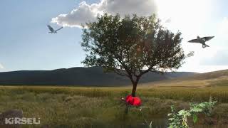 O Yayla bizim yayla  Özgun Video [upl. by Hollinger976]