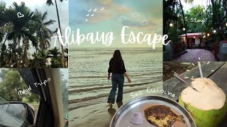 The Alibaug Escape  Aesthethic Travel Vlog 🌴🌊 [upl. by Aristotle]