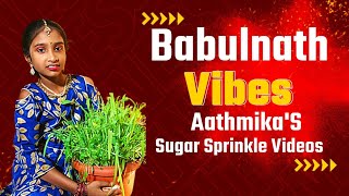 Vlog  6 Aathmikas Golu  Babulnathvibes [upl. by Yvor]