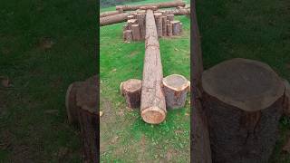 Log Jam playgrounds [upl. by Hercules]