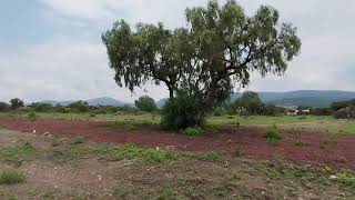 Lotes en pagos San Agustín Tlaxiaca Pachuca [upl. by Rubie]