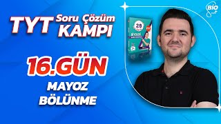 Mayoz BoÌˆluÌˆnme Soru CÌ§oÌˆzuÌˆmuÌˆ  21 GuÌˆnde TYT Biyoloji KampÄ±16 [upl. by Bendick]