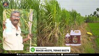 Sugarcane Cultivation Feedback From Farmers [upl. by Rimisac668]