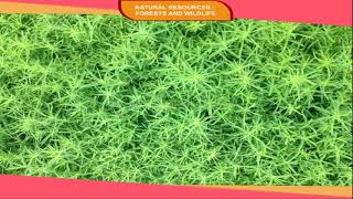 NATURAL VEGETATION OF INDIA class8 [upl. by Batista]