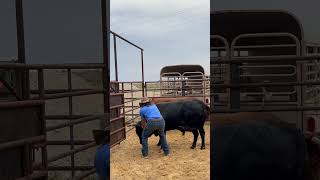 JB Mauney amp Dale Brisby Ride Again In An All New Adventure [upl. by Allanson]