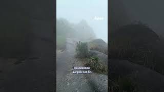 Un randonneur chinois survit à sa chute grâce un arbuste [upl. by Houghton606]