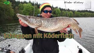 Schleppen mit Köderfisch Blinker History [upl. by Adnorat]