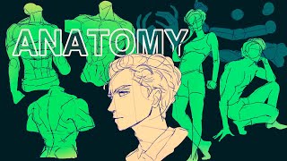 How I Learned Anatomy in A DAY [upl. by Amuwkuhc]