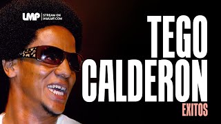 Tego Calderon Reggaeton Exitos  DJ Fibo [upl. by Llerad]