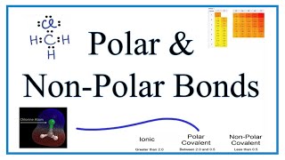 Polar NonPolar and Ionic Compounds Explanation Examples and Practice [upl. by Idnar67]