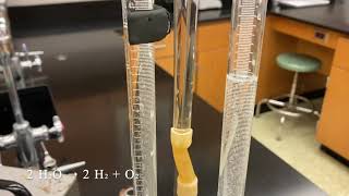 Electrolytic Separation of Water Using a Hofmann Voltameter [upl. by Mata]