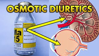 Osmotic Diuretics Types Mechanism of Action Therapeutic Uses and Adverse Effects [upl. by Nerahs551]