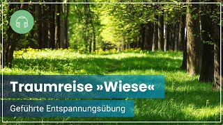 Geführte Meditation  Traumreise im Grünen für inneren Frieden und pure Entspannung 🌼 [upl. by Irol]