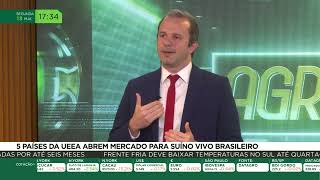 5 países da UEEA abrem mercado para suíno vivo brasileiro [upl. by Ayotal]