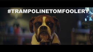 John Lewis Christmas Advert PARODY 2016  BusterTheBoxer TrampolineTomfoolery [upl. by Chenee]