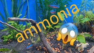 how to lower ammonia in your aquarium  getting rid of ammonia in a fish tank [upl. by Sabu]