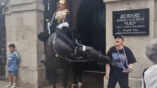 Tourist faints after horse bite thekingsguard [upl. by Longfellow301]