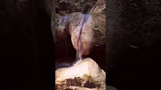 The Best Mineral water in this World funny shorts [upl. by Kapor]