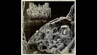 Reaping Death  Maggot Infested Coffin Full EP [upl. by Eisler]