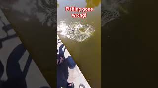 Carp Fishing fishing amazing entertainment bigfish bigcarp carp catchandrelease fyp 2024 [upl. by Onig389]