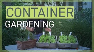 Container Gardening An Easy Way to Grow Your Own Food [upl. by Felice857]