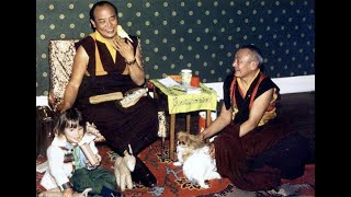 Das Leben des 16 Karmapa [upl. by Lammond]