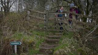 10 Best walks in Dumfries and Galloway [upl. by Ellimak]