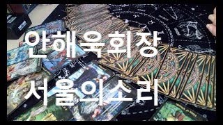 안해욱회장 쥴리의혹 구속영장  서울의소리 리딩채널내용을 도용하는것은 불법 이므로 금지 합니다 [upl. by Ahsirek]