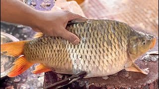 Big Carp Fish Cutting Skills  Amazing Fish Cutting Skills Live In Bangladesh Fish Market [upl. by Jacobah]