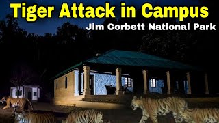 उस खौफनाक रात के बाद Corbett National Park में हुए बड़े बदलाव Tiger Attack  Dhikala 2005 corbett [upl. by Orth]