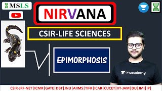 DEVELOPMENTAL BIOLOGY  EPIMORPHOSIS  part 4  csir iitjam aiims dbtjrf [upl. by Brynne]