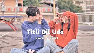 Titli Dil Uda Love ğŸ’ Mashup Lofi Song [upl. by Lucretia]